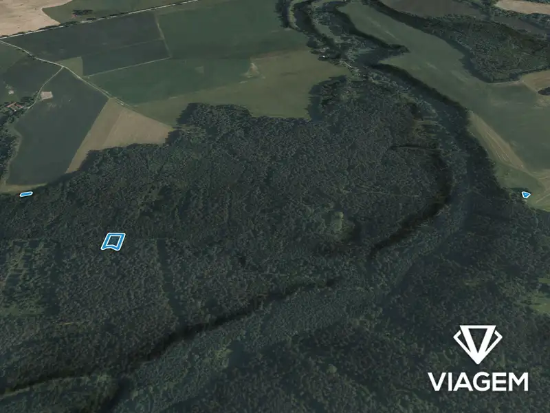 Prodej lesa 1365 m², Římov – náhled fotky 3