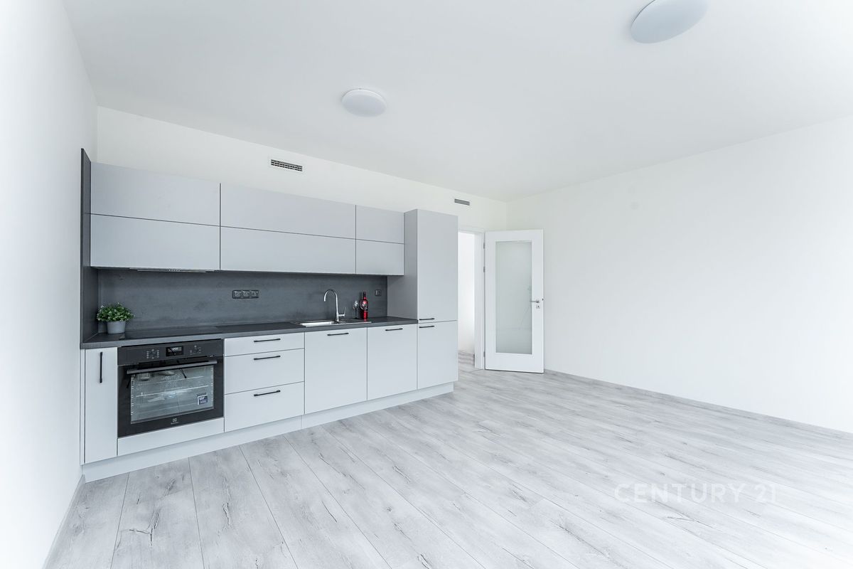 Pronájem bytu 1+kk 38 m²