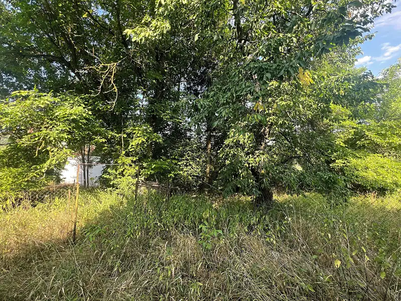 Prodej stavebního pozemku 3975 m², Týnec nad Sázavou – náhled fotky 3