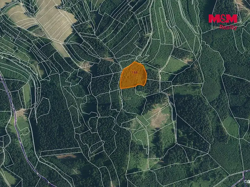 Prodej lesa 12578 m², Lhota u Vsetína – náhled fotky 3