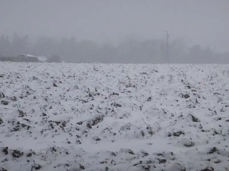 Dražba pole 1638 m², Škvorec – náhled fotky 2