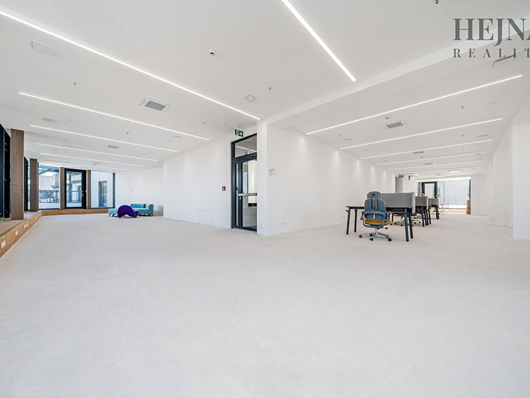 Pronájem komerčního prostoru, 802 m² (8 z 20)