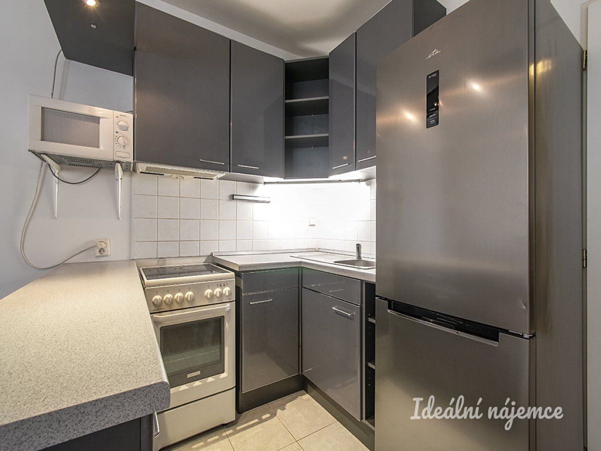 Pronájem bytu 1+kk 41 m² – fotografie 4