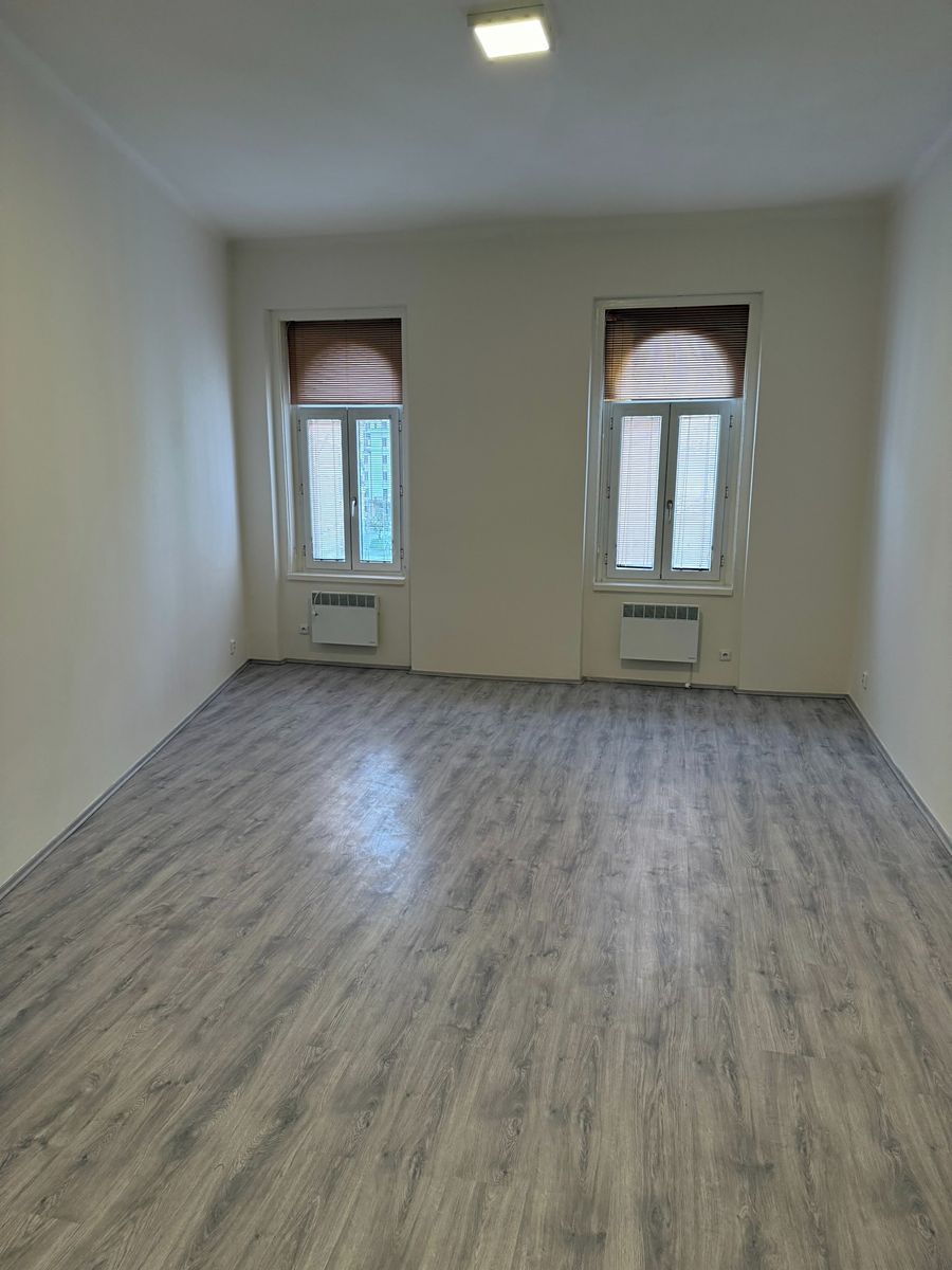 Pronájem bytu 1+1 42 m² – fotografie 4