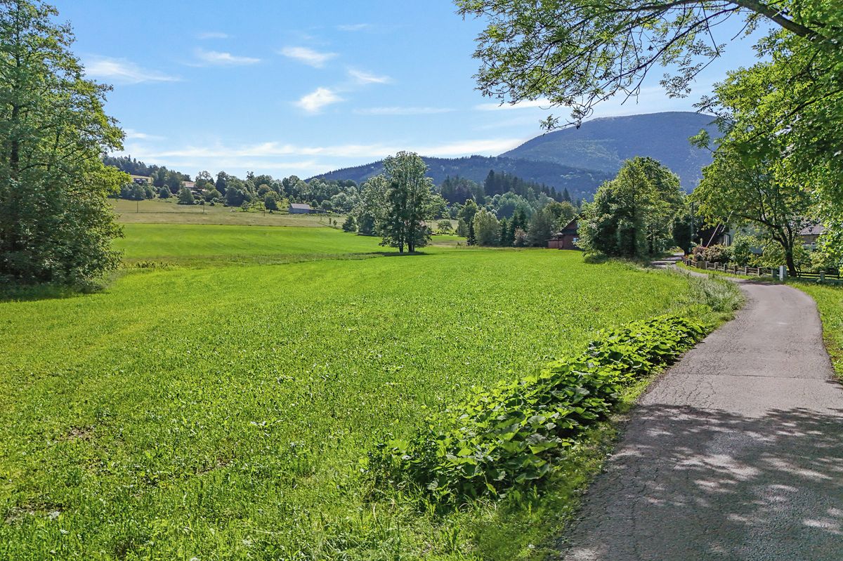 Prodej stavebního pozemku 10945 m² – fotografie 4