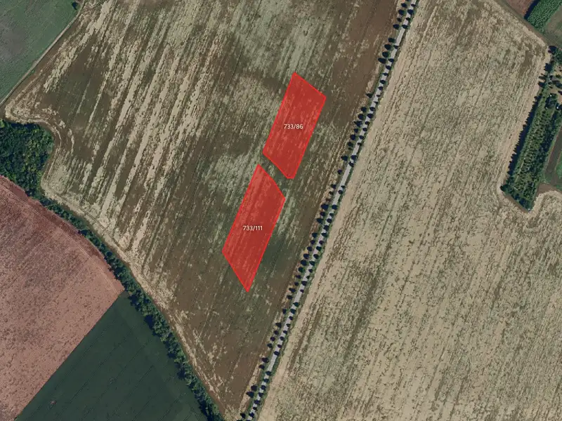 Prodej pole 17927 m², Blažovice – náhled fotky 1