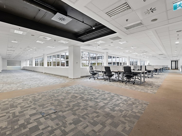 Pronájem komerčního prostoru, 364 m² (8 z 10)