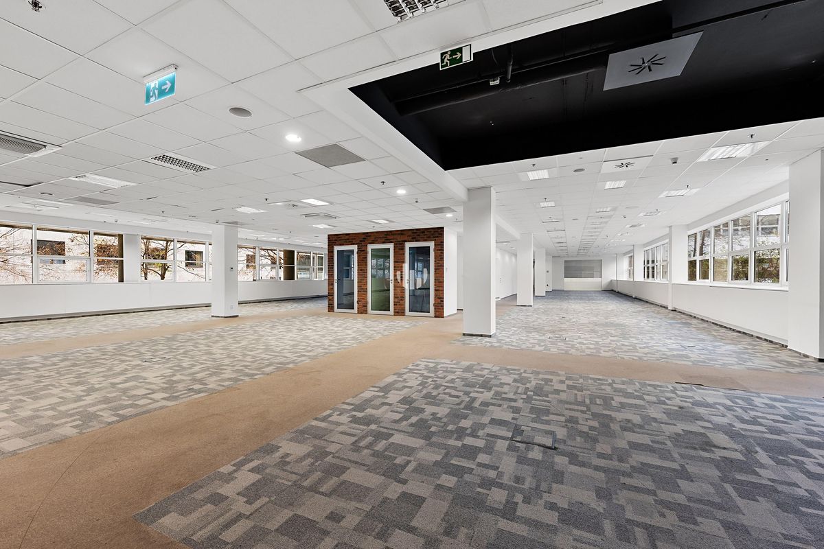 Pronájem kanceláře 1000 m² – fotografie 4
