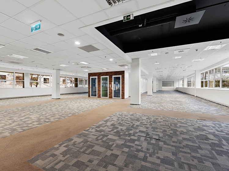 Gewerbefläche zur Miete, 1.000 m² (4 von 10)