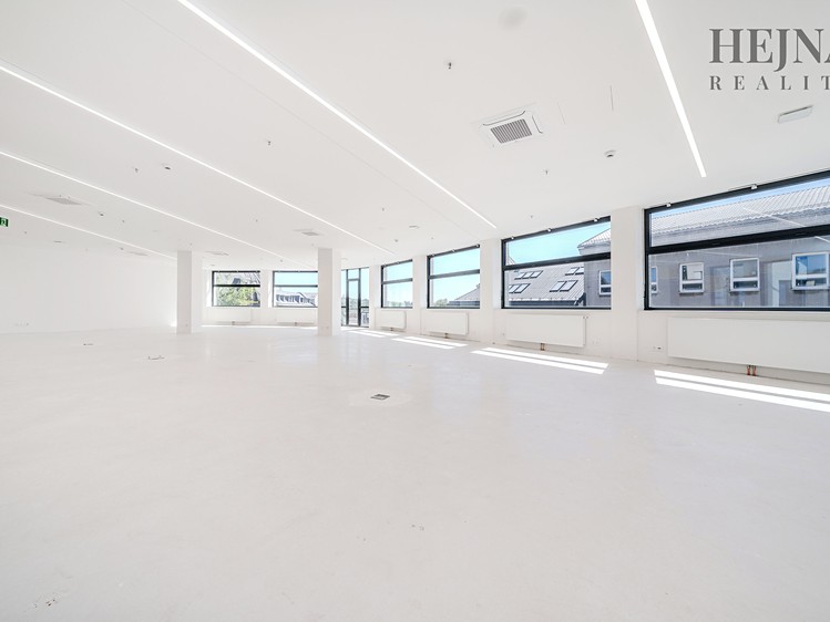 Pronájem komerčního prostoru, 802 m² (3 z 20)