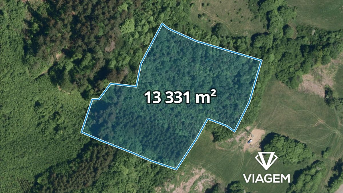 Prodej lesa 13331 m²