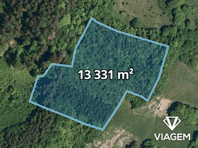 Prodej lesa 13331 m²