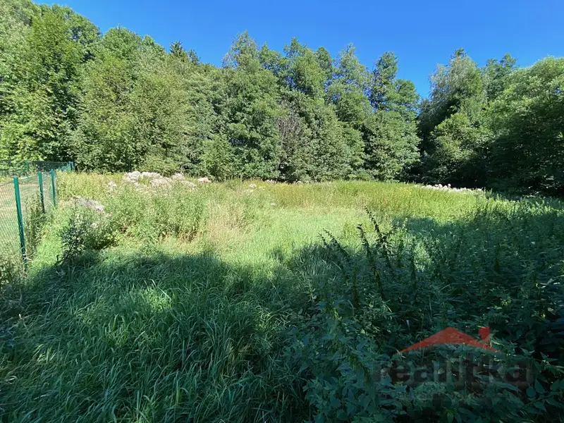 Prodej pozemku 3120 m², Svatoňovice – náhled fotky 1