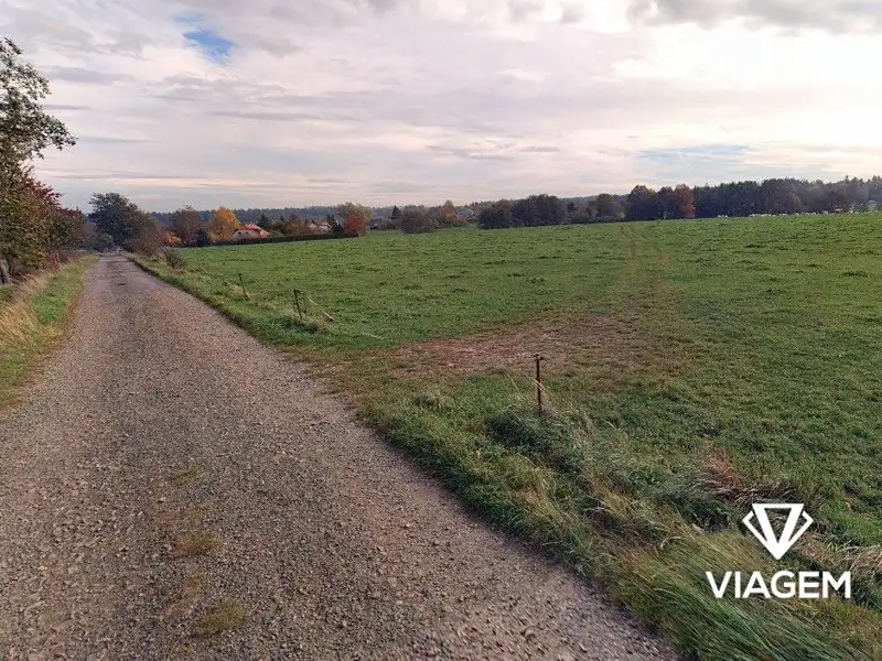 Prodej pole 28806 m², Nasavrky – náhled fotky 3