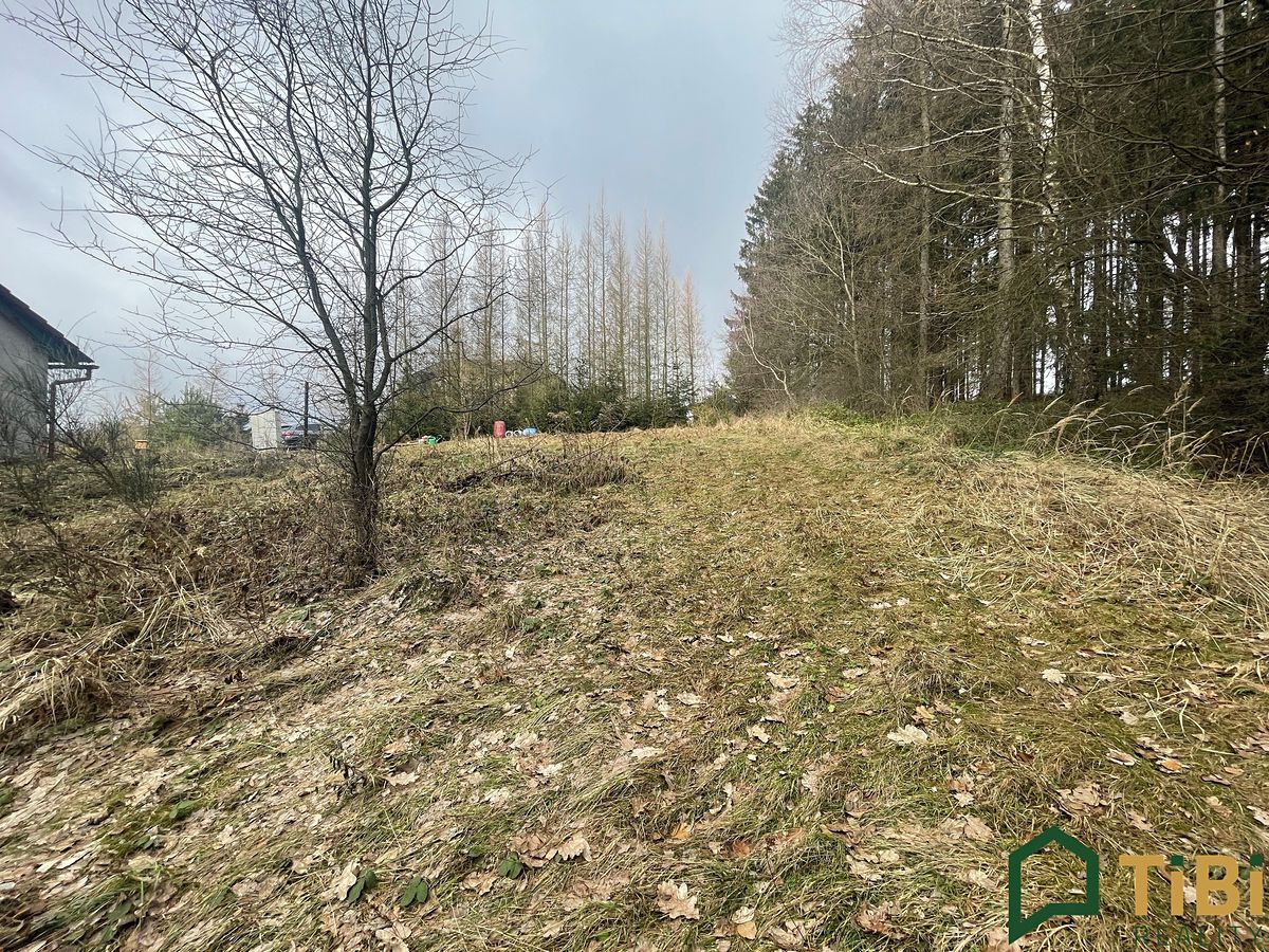 Prodej projektu na klíč 90 m², pozemek 1753 m² – fotografie 5