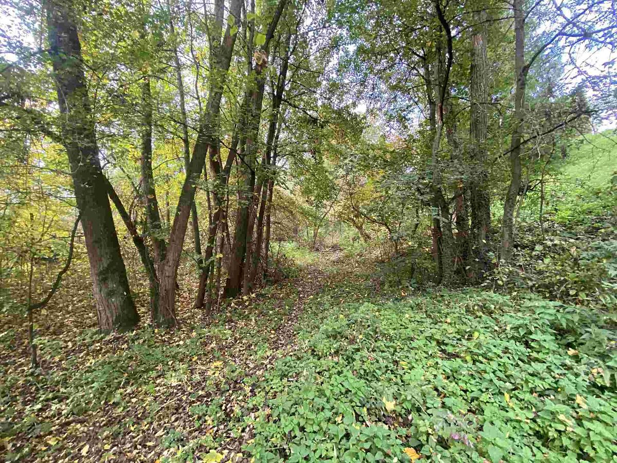 Prodej pozemku 1003 m²