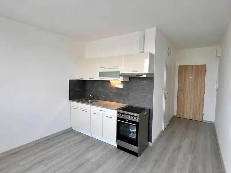 Pronájem bytu 1+1 33 m², Jirkov – náhled fotky 1