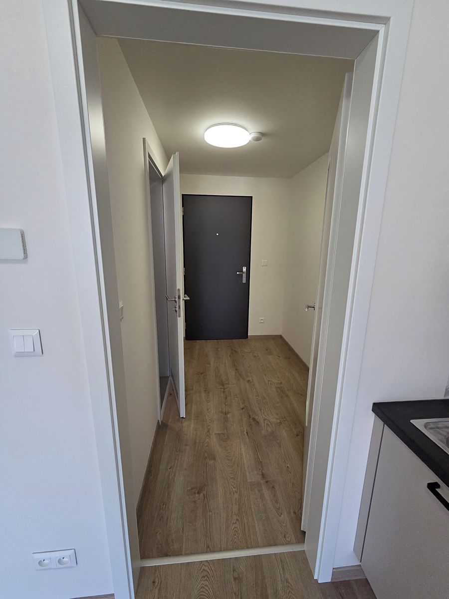Pronájem bytu 1+kk 30 m² – fotografie 4
