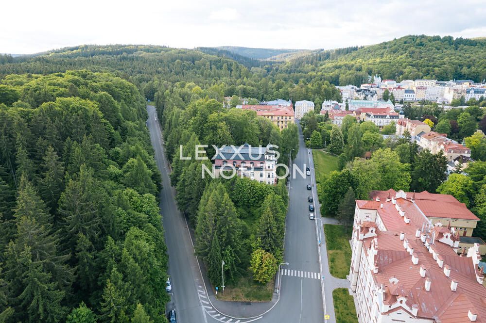 Prodej komerčního pozemku 4000 m² – fotografie 2