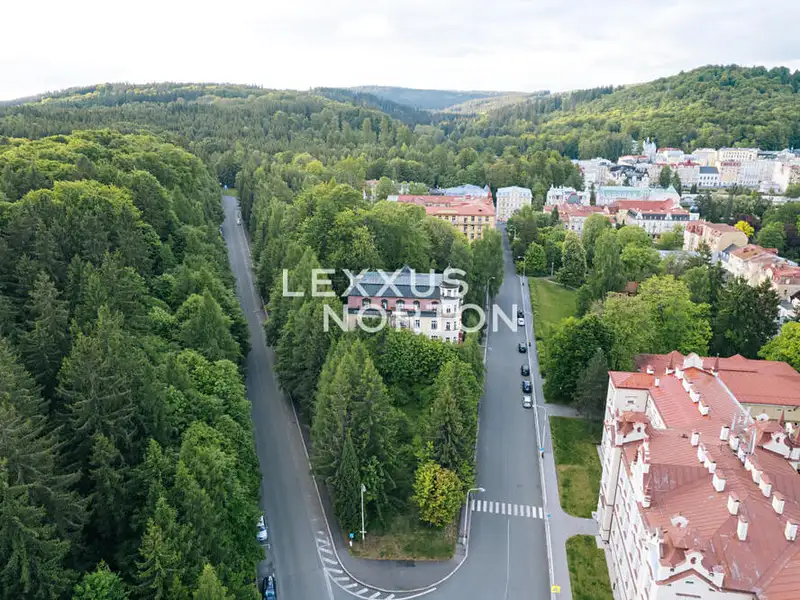 Prodej komerčního pozemku 4000 m², Mariánské Lázně – náhled fotky 2