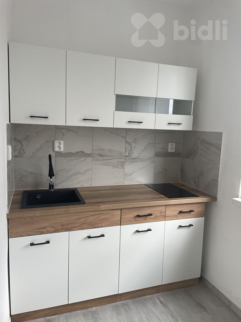 Pronájem bytu 1+1 39 m² – fotografie 5