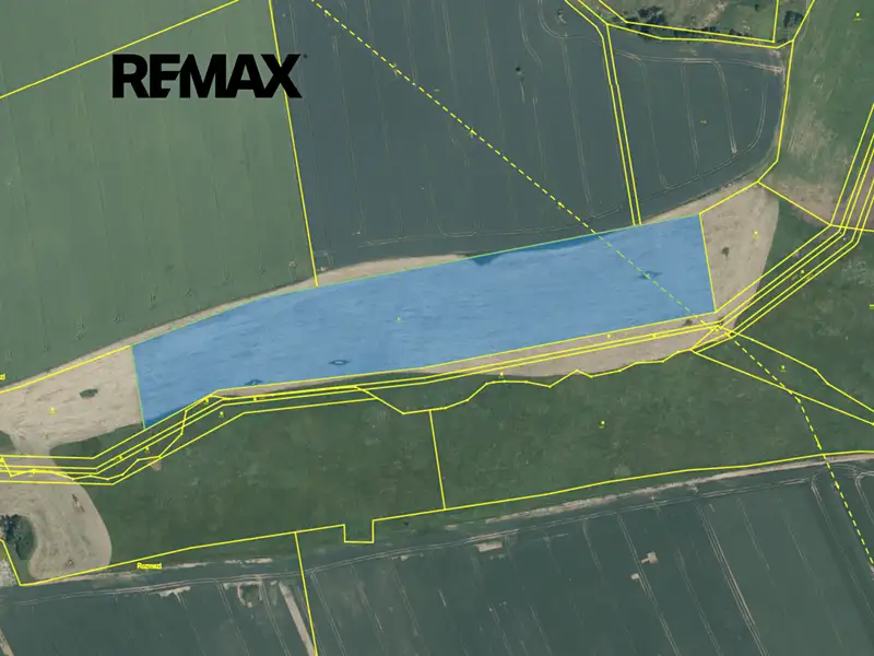 Prodej pole 33476 m², Chodová Planá – náhled fotky 2