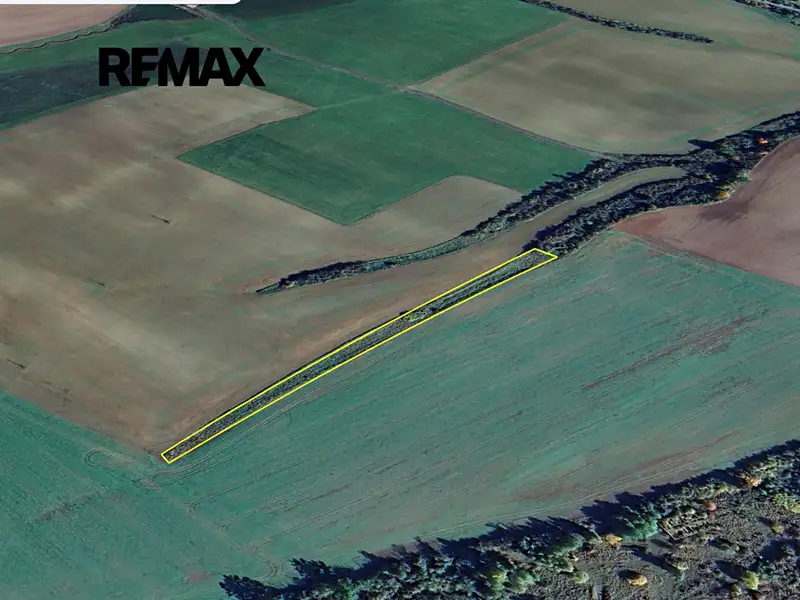 Prodej pole 4736 m², Stříbro – náhled fotky 3
