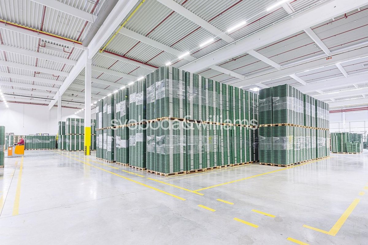 Pronájem skladového prostoru 5840 m² – fotografie 2