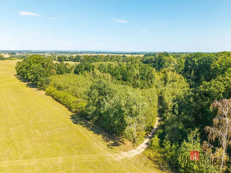 Prodej lesa 37347 m², Pardubice – náhled fotky 1