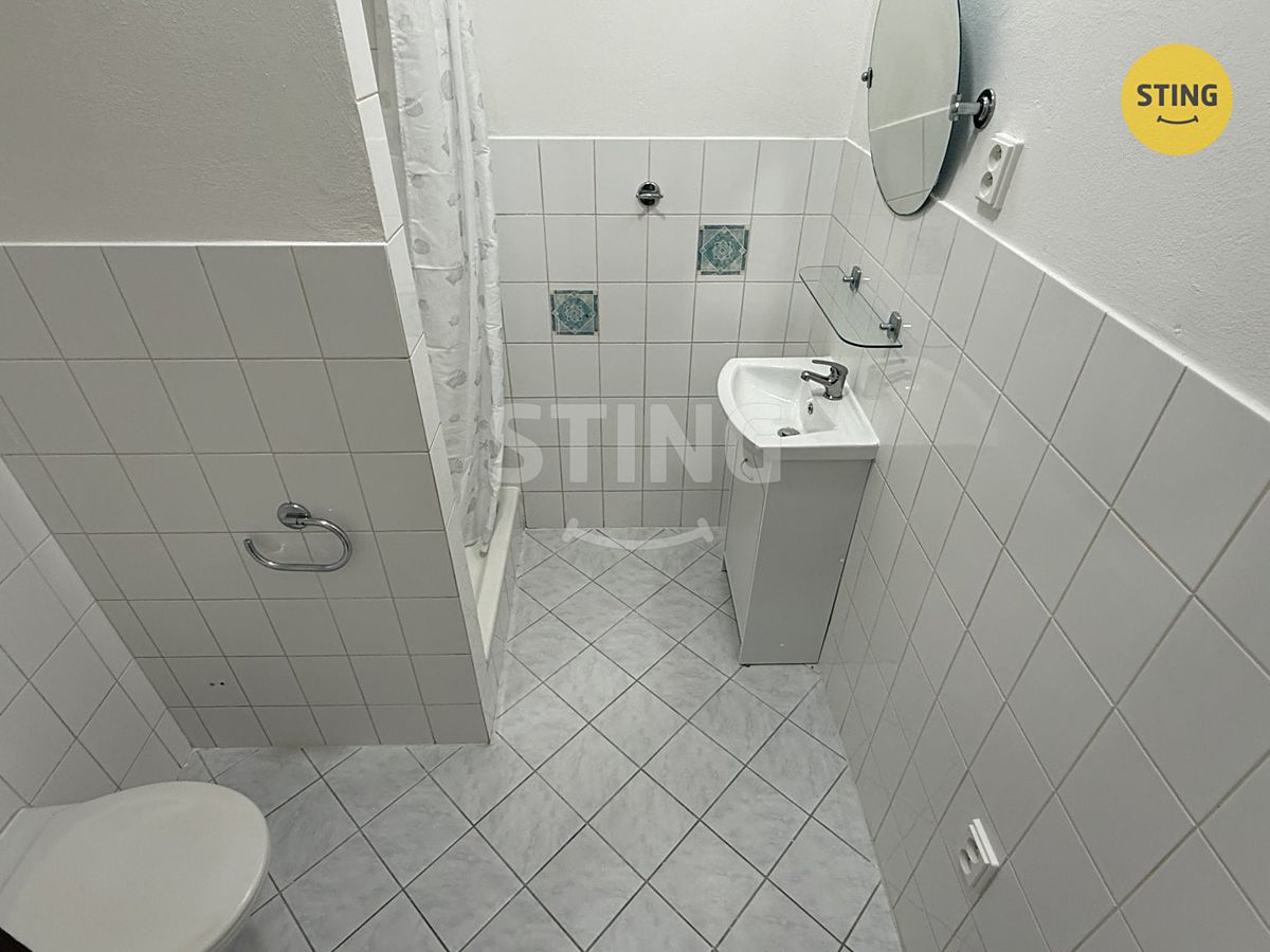 Pronájem bytu 1+kk 20 m² – fotografie 3