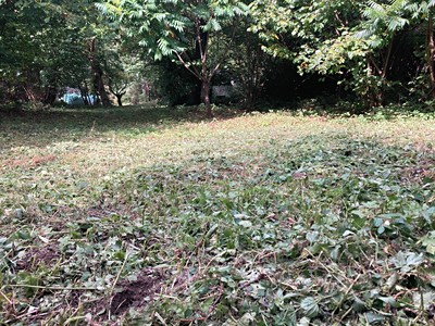 Prodej pozemku, 1 644 m² (3 z 16)