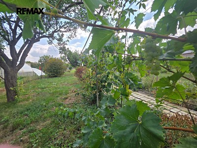 Pronájem  rodinného domu 94 m², pozemek 1 491 m²