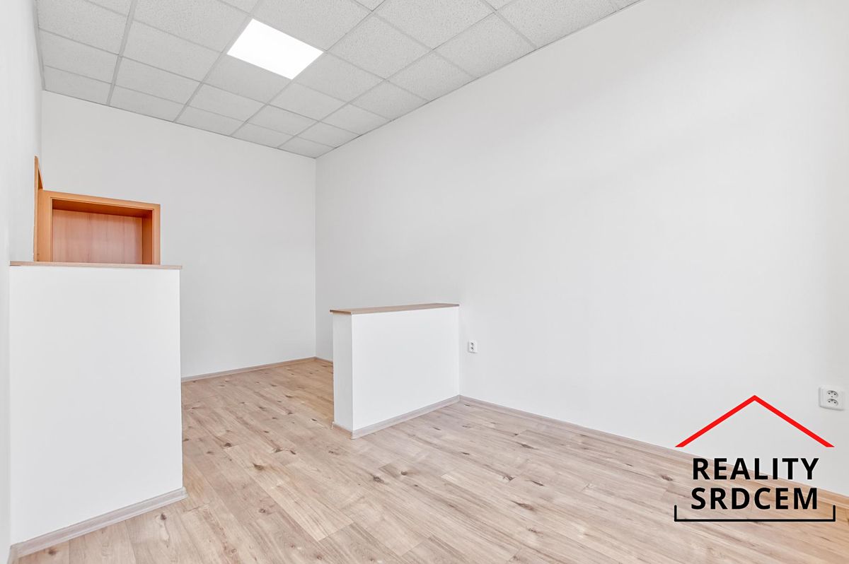 Pronájem bytu 2+1 63 m² – fotografie 4