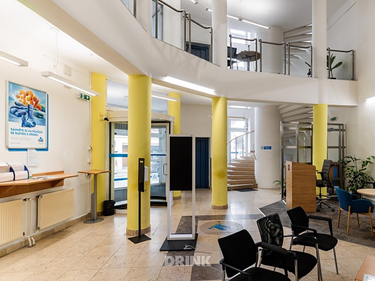 Pronájem komerčního prostoru, 317 m² (9 z 14)