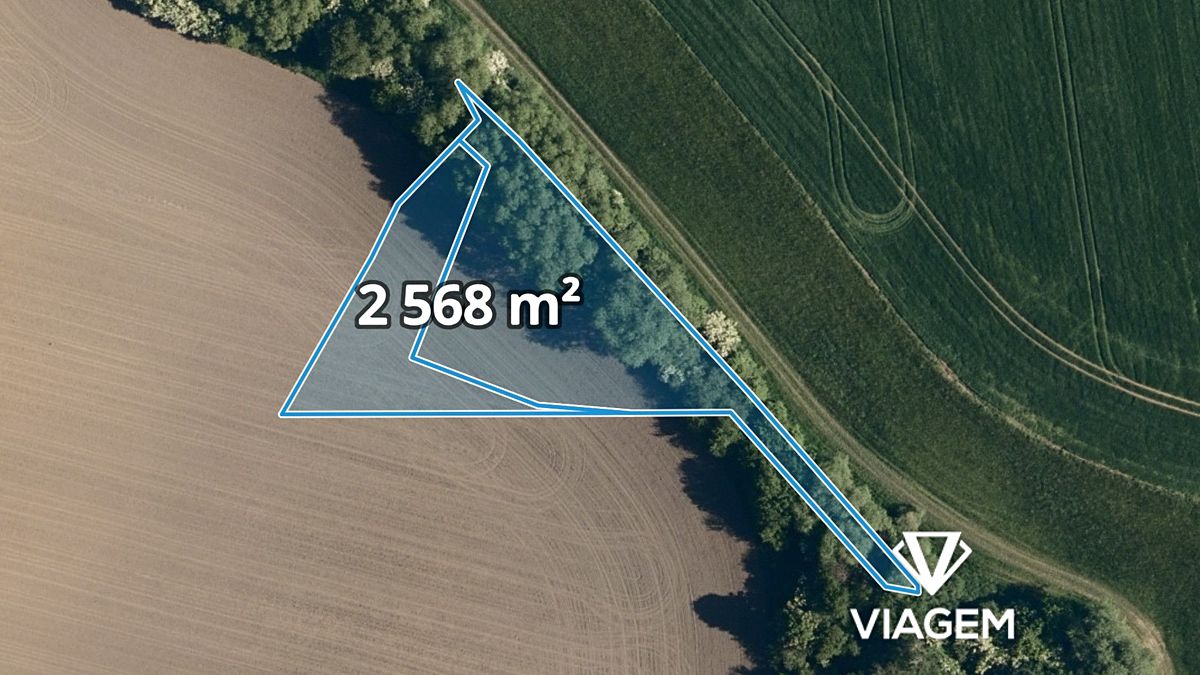 Prodej pole 2568 m² – fotografie 3