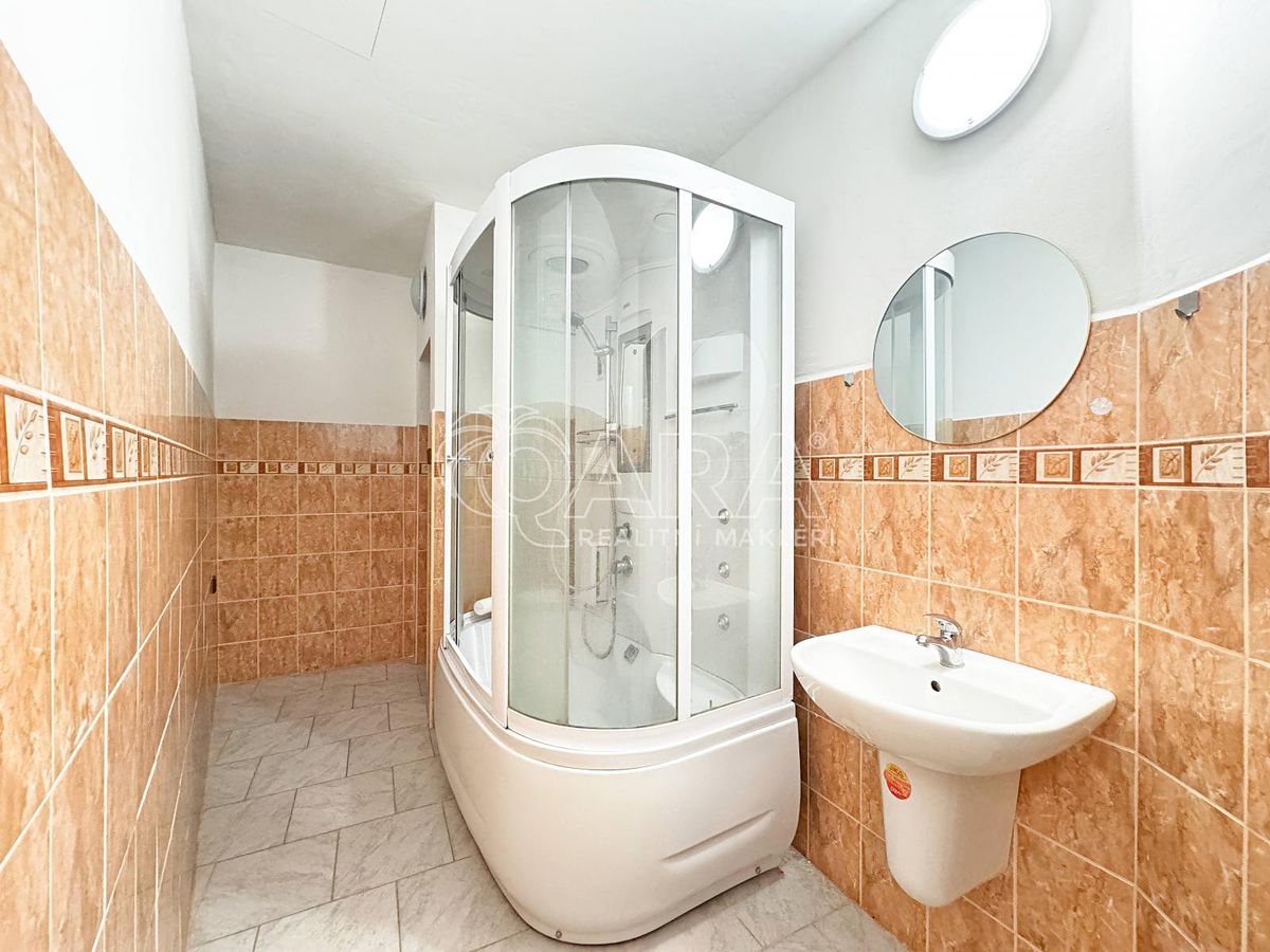Pronájem bytu atypický 65 m² – fotografie 3