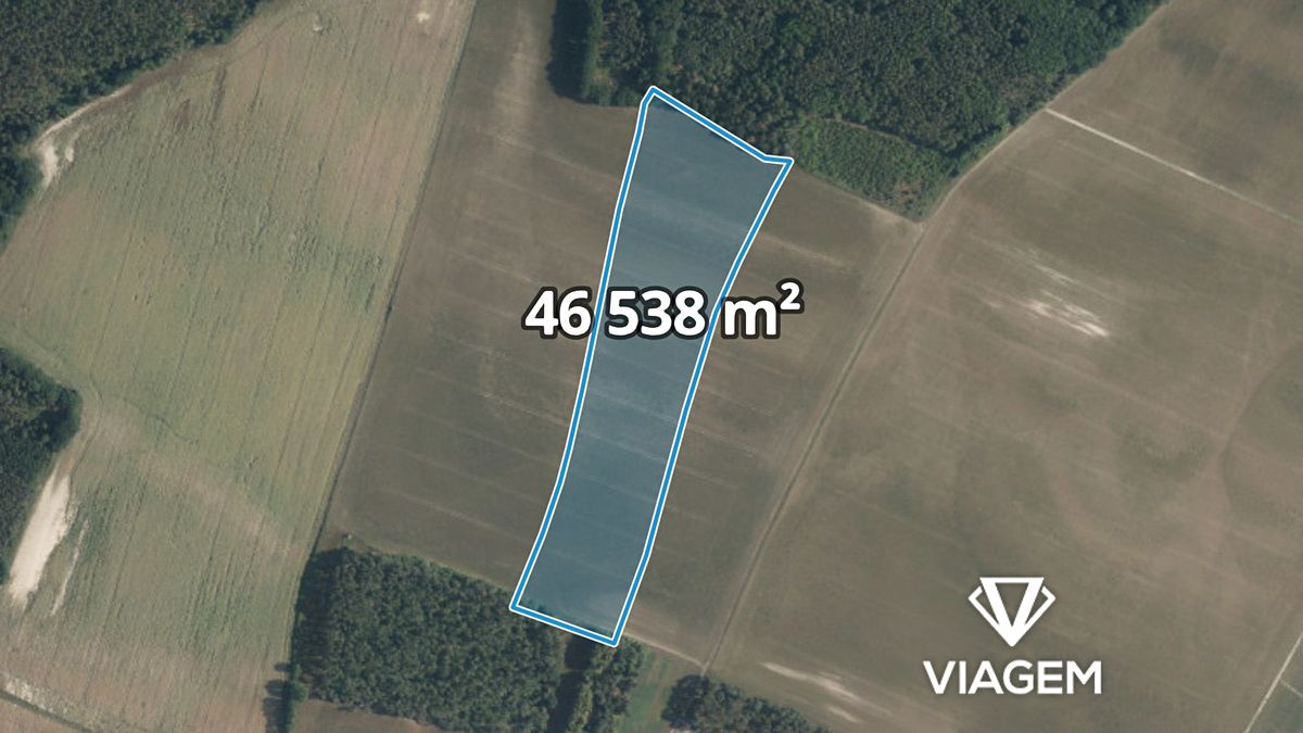 Prodej pole 46538 m², Sudovo Hlavno – fotka 1 z 3