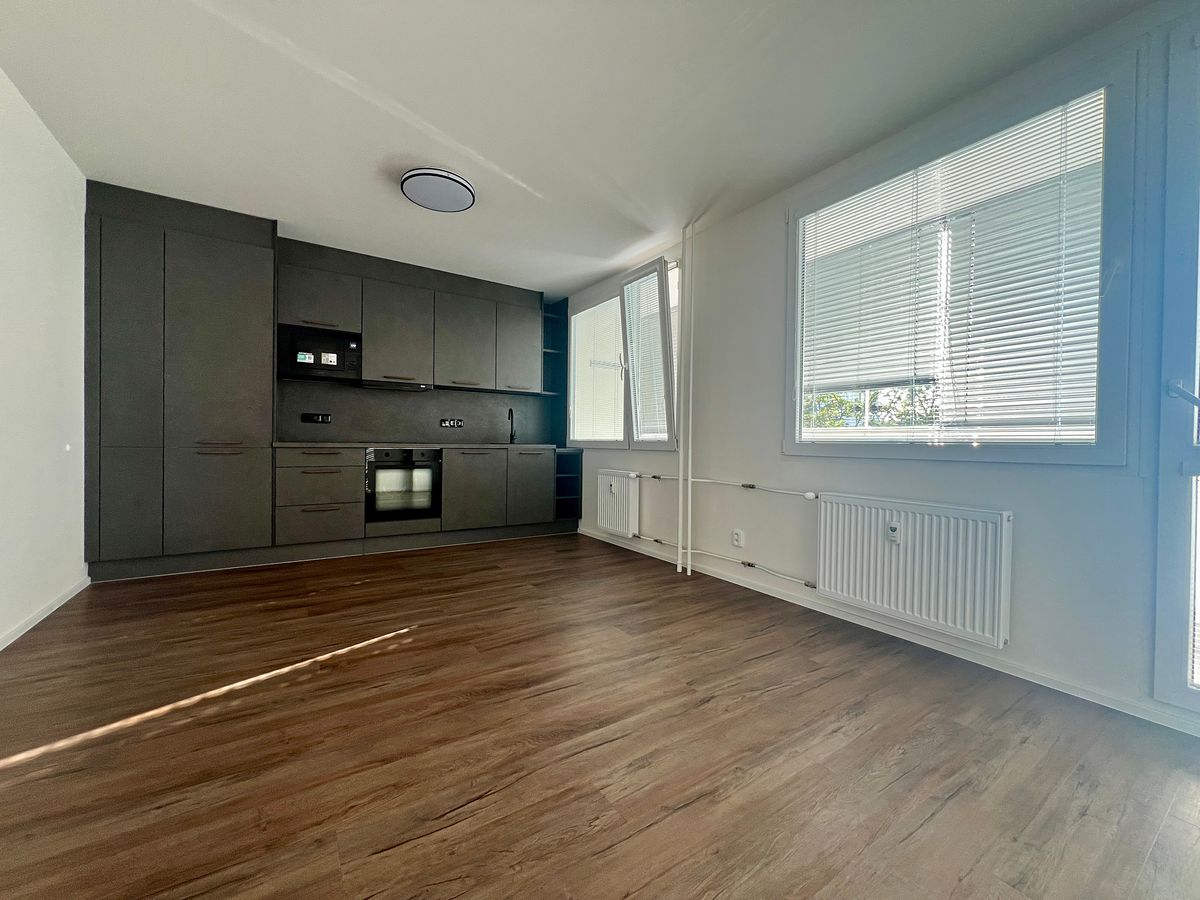 Pronájem bytu 3+kk 55 m² – fotografie 3