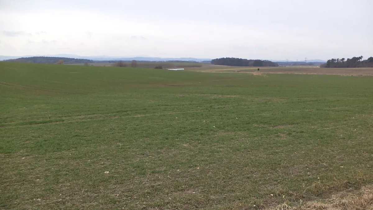 Prodej pole 2330 m²