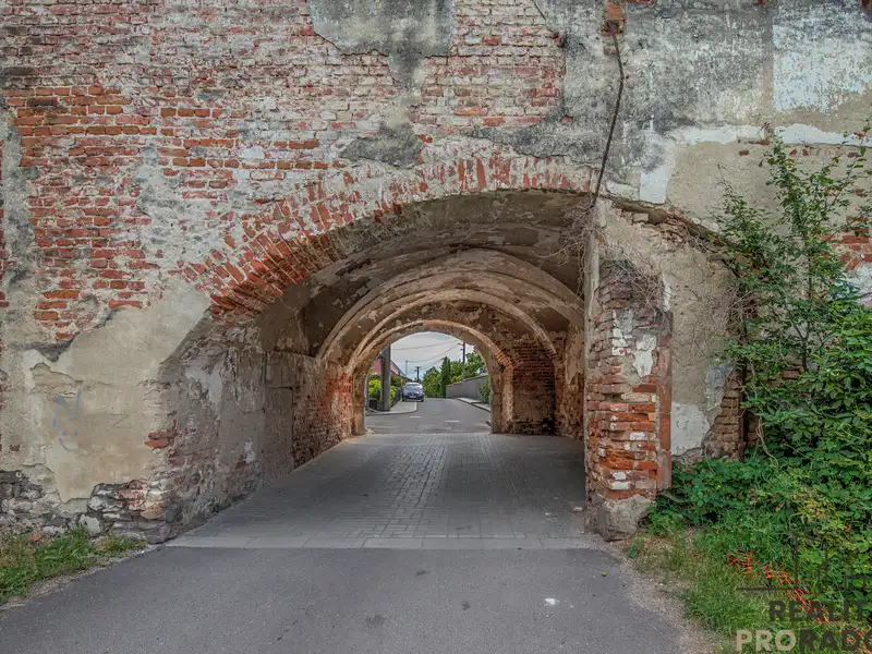Prodej památky 1100 m², pozemek 1888 m², Tasovice – náhled fotky 3