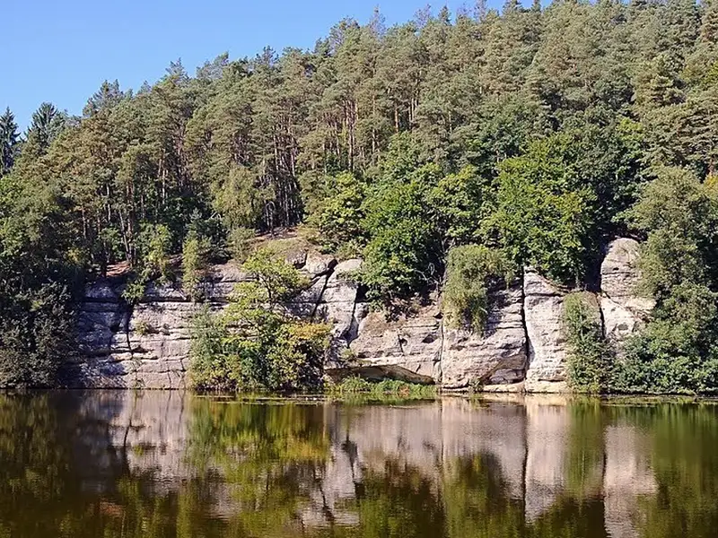 Prodej lesa 12485 m², Vysoká – náhled fotky 3