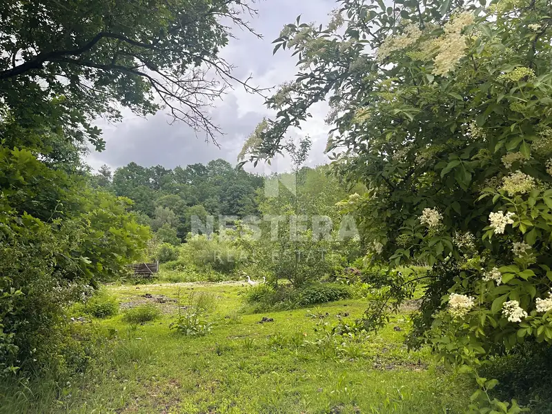 Prodej zemědělské usedlosti 284 m², pozemek 112997 m², Popovice – náhled fotky 2