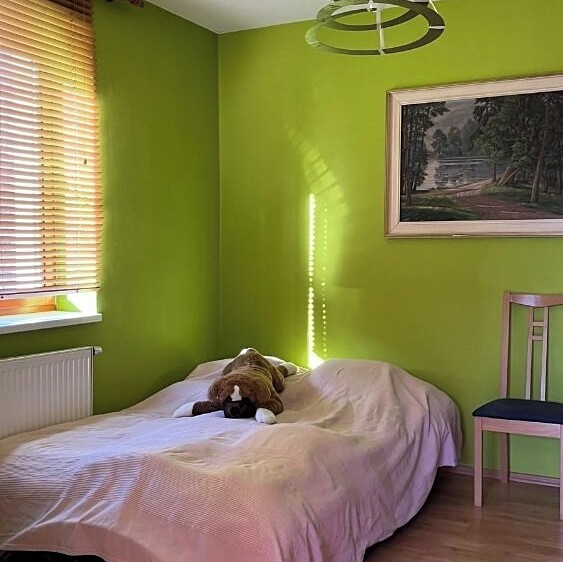 Prodej domu, 220 m² (7 z 29)