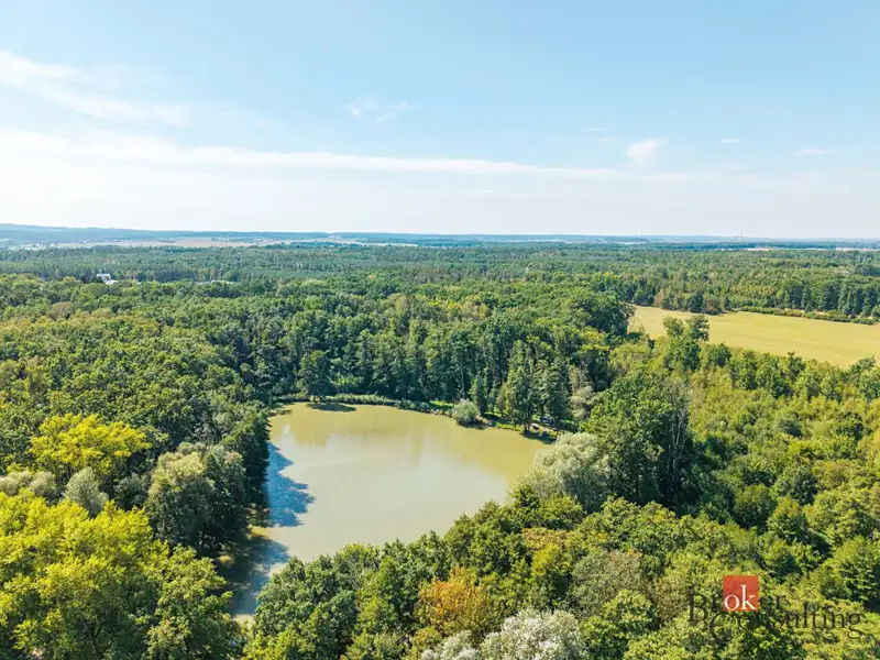 Prodej lesa 37347 m², Pardubice – náhled fotky 3