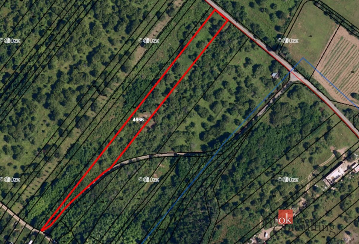 Prodej zahrady 4535 m²