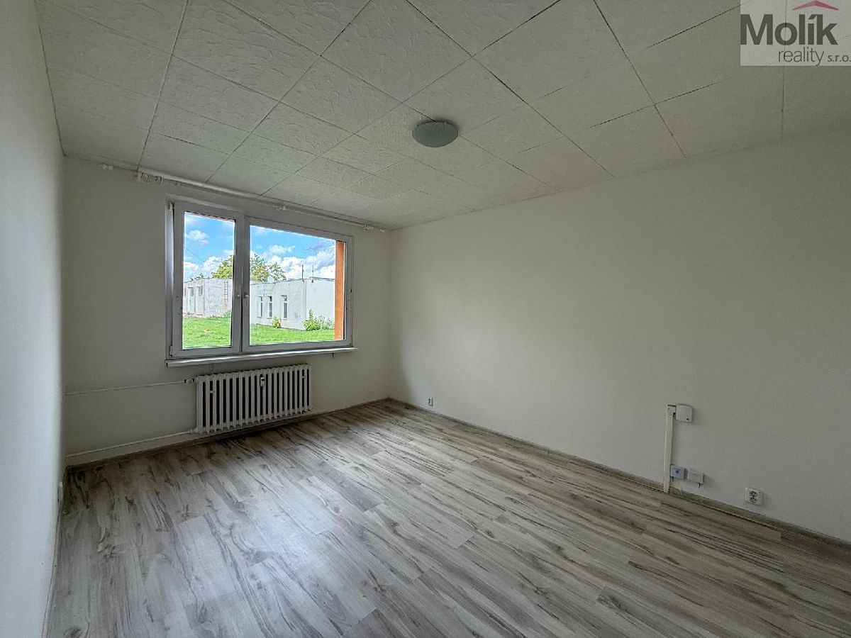 Pronájem bytu 3+1 66 m² – fotografie 3