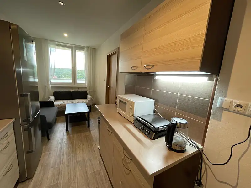 Pronájem bytu 4+1 95 m², Praha – náhled fotky 3