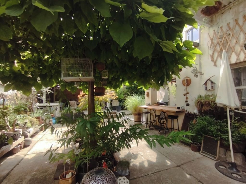 Prodej vícegeneračního domu 250 m², pozemek 295 m² – fotografie 3