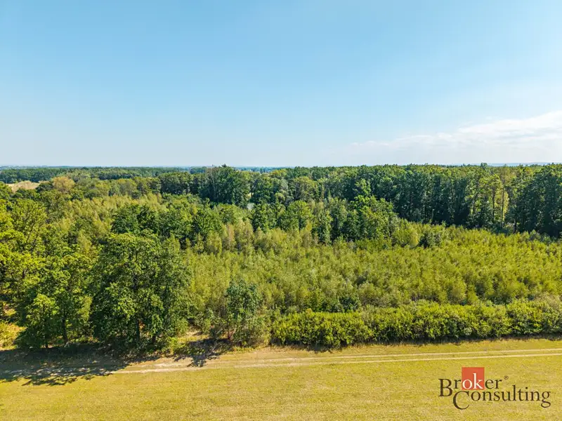 Prodej lesa 37347 m², Pardubice – náhled fotky 2