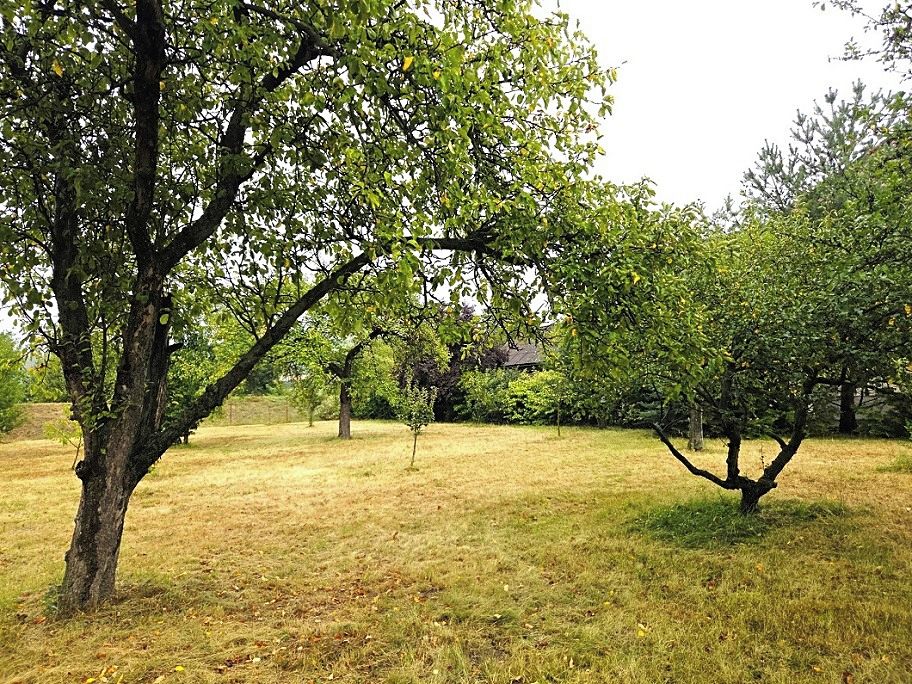 Prodej stavebního pozemku 750 m² – fotografie 2
